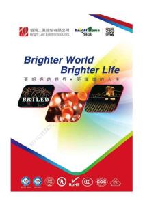 BrtLed佰鴻代理分銷經銷一級代理分銷經銷