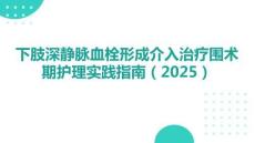 下肢深靜脈血栓形成介入治療圍術(shù)期護(hù)理實(shí)踐指南（2025）要點(diǎn)解析與臨床應(yīng)用