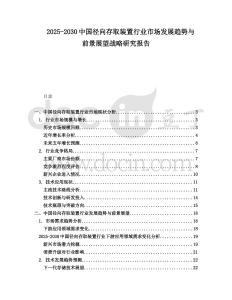 2025-2030中國徑向存取裝置行業市場發展趨勢與前景展望戰略研究報告