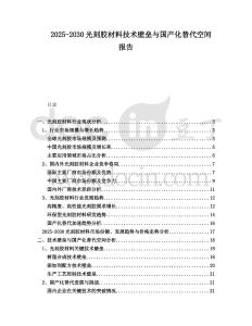 2025-2030光刻膠材料技術(shù)壁壘與國(guó)產(chǎn)化替代空間報(bào)告