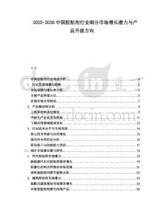 2025-2030中國膠粘劑行業細分市場增長潛力與產品升級方向