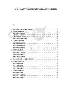 2025-2030長三角共同市場產業融合研究分析報告