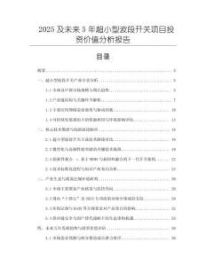 2025及未來5年超小型波段開關(guān)項目投資價值分析報告