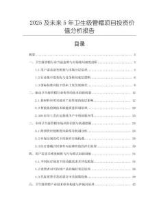2025及未來5年衛生級管帽項目投資價值分析報告