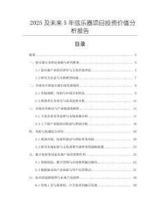 2025及未來5年弦樂器項目投資價值分析報告