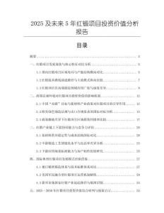 2025及未來5年紅鍛項(xiàng)目投資價值分析報告
