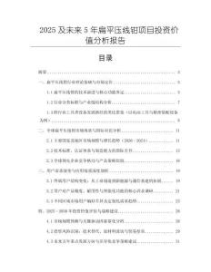 2025及未來5年扁平壓線鉗項目投資價值分析報告
