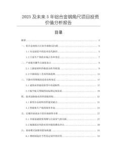 2025及未來5年鋁合金鋼角尺項目投資價值分析報告