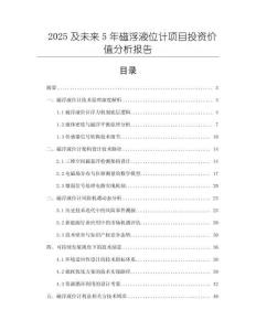 2025及未來5年磁浮液位計項目投資價值分析報告