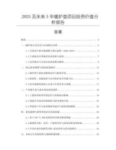 2025及未來5年暖爐墊項目投資價值分析報告