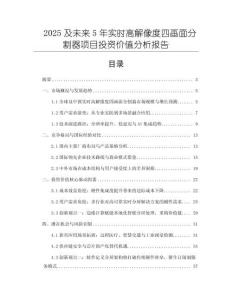 2025及未來(lái)5年實(shí)時(shí)高解像度四畫面分割器項(xiàng)目投資價(jià)值分析報(bào)告