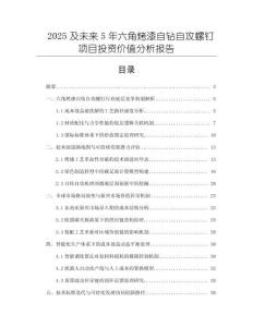2025及未來5年六角烤漆自鉆自攻螺釘項目投資價值分析報告