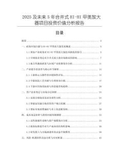 2025及未來5年合并式HI-HI甲類放大器項目投資價值分析報告