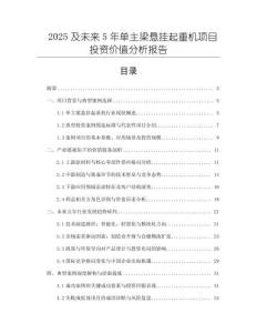 2025及未來5年單主梁懸掛起重機項目投資價值分析報告
