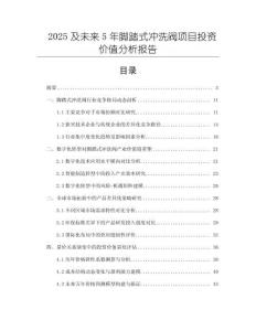 2025及未來5年腳踏式?jīng)_洗閥項目投資價值分析報告