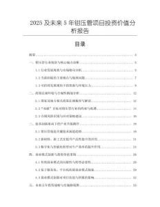 2025及未來5年鉗壓管項目投資價值分析報告