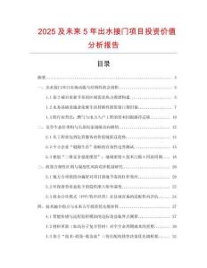 2025及未來5年出水接門項目投資價值分析報告