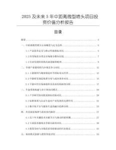 2025及未來5年中距離微型噴頭項目投資價值分析報告