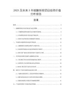 2025及未來5年硫酸鐵銨項目投資價值分析報告