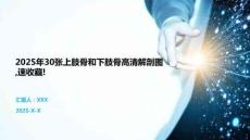 2025年30張上肢骨和下肢骨高清解剖圖速收藏!