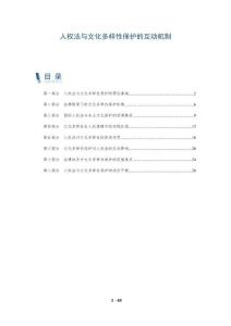 人權(quán)法與文化多樣性保護的互動機制