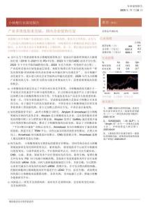 小核酸行業(yè)深度報(bào)告——產(chǎn)業(yè)多維度迎來(lái)突破，國(guó)內(nèi)企業(yè)優(yōu)勢(shì)盡顯-