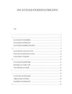2025余壓發(fā)電技術(shù)發(fā)展趨勢及市場機會研究
