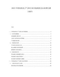 2025中國高純電子氣體行業市場現狀及未來增長潛力報告
