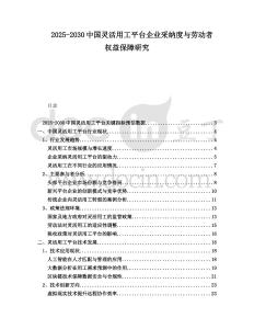 2025-2030中國靈活用工平臺企業采納度與勞動者權益保障研究