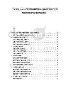 2025至2030中國甲基丙烯酸行業市場深度研究及發展前景投資可行性分析報告