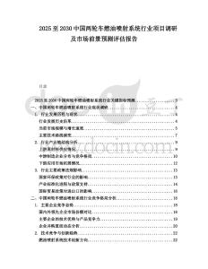 2025至2030中國兩輪車燃油噴射系統行業項目調研及市場前景預測評估報告