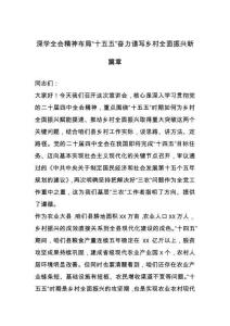 講稿+PPT：深學全會精神布局“十五五” 奮力譜寫鄉村全面振興新篇章--講稿