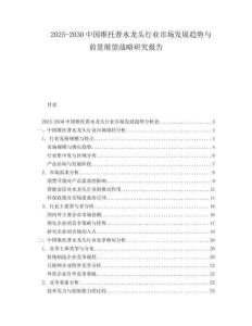 2025-2030中國維托普水龍頭行業(yè)市場發(fā)展趨勢與前景展望戰(zhàn)略研究報告