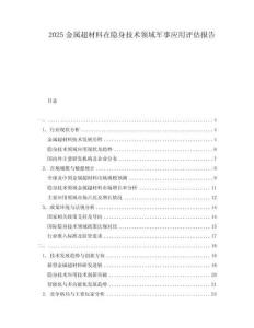 2025金屬超材料在隱身技術(shù)領(lǐng)域軍事應(yīng)用評(píng)估報(bào)告