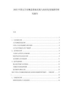 2025中國元宇宙概念落地實踐與商業化變現路徑研究報告