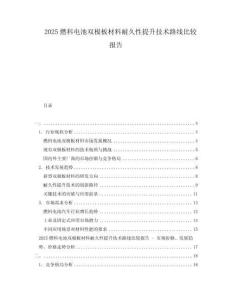 2025燃料電池雙極板材料耐久性提升技術(shù)路線比較報告