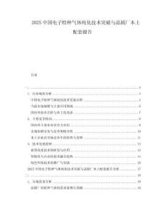 2025中國電子特種氣體純化技術突破與晶圓廠本土配套報告