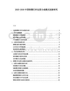 2025-2030中國(guó)智慧燈桿運(yùn)營(yíng)分成模式創(chuàng)新研究