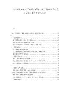 2025至2030電子束曝光系統(tǒng)（EBL）行業(yè)運(yùn)營(yíng)態(tài)勢(shì)與投資前景調(diào)查研究報(bào)告
