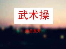 小學(xué)體育與健康—武術(shù)操起勢(shì)—教學(xué)PPT課件