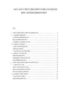 2025-2030中國汽車拋光劑和汽車蠟行業市場發展趨勢與前景展望戰略研究報告