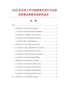 2025及未來(lái)5年中國(guó)泰美尼克片行業(yè)投資前景及策略咨詢研究報(bào)告