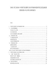 2025至2030中國汽化器行業市場深度研究及發展前景投資可行性分析報告
