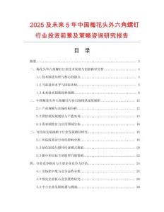 2025及未来5年中国梅花头外六角螺钉行业投资前景及策略咨询研究报告