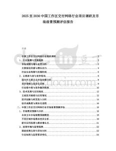 2025至2030中國(guó)工作區(qū)交付網(wǎng)絡(luò)行業(yè)項(xiàng)目調(diào)研及市場(chǎng)前景預(yù)測(cè)評(píng)估報(bào)告