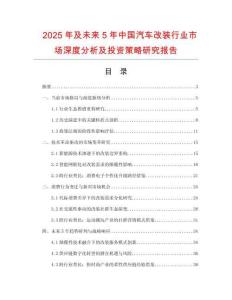 2025年及未來5年中國汽車改裝行業(yè)市場深度分析及投資策略研究報告