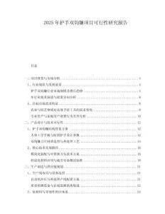 2025年護手雙鉤鐮項目可行性研究報告