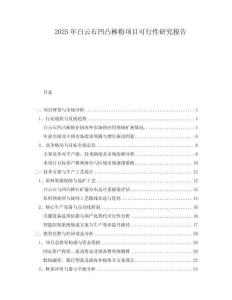 2025年白云石凹凸棒粉項目可行性研究報告