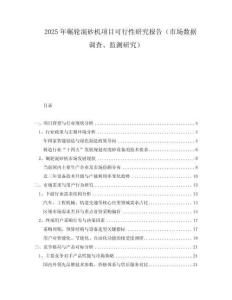 2025年碾輪混砂機(jī)項(xiàng)目可行性研究報(bào)告（市場(chǎng)數(shù)據(jù)調(diào)查、監(jiān)測(cè)研究）