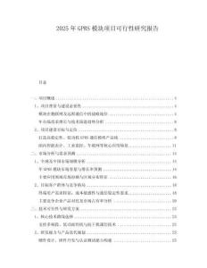 2025年GPRS模塊項(xiàng)目可行性研究報(bào)告